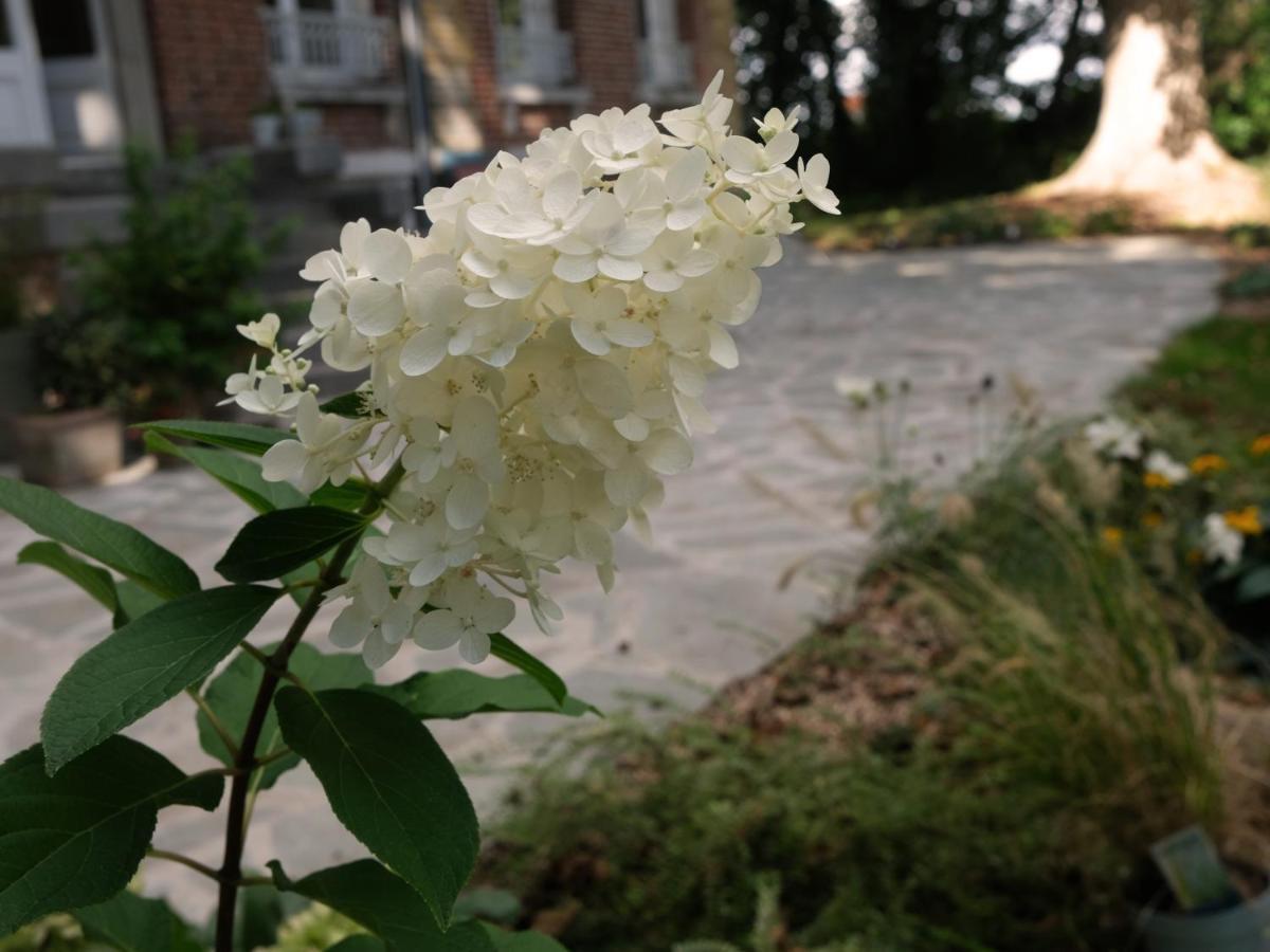 Mille Et Une Feuilles Saint-Martin-Lez-Tatinghem Exterior foto